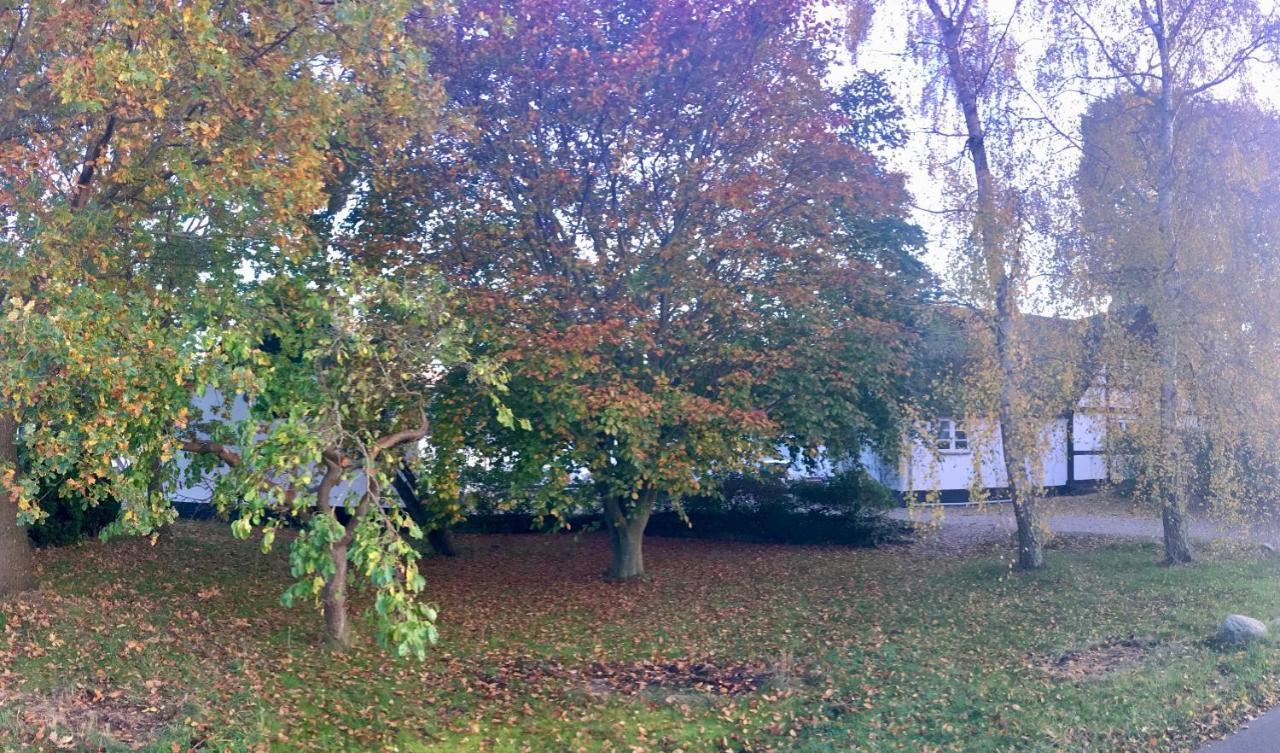 Hvidegaard Mon Hotel Stege Exterior photo